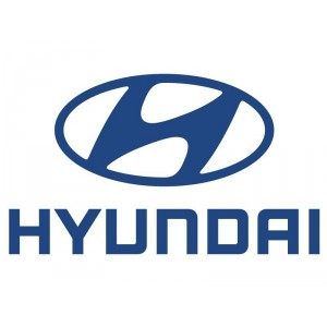Digitale kentekenmagie in Hyundai Tucson commercial